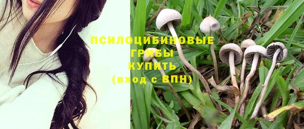 амф Лагань