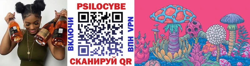 blacksprut Электросталь Галлюциногенные грибы Cubensis