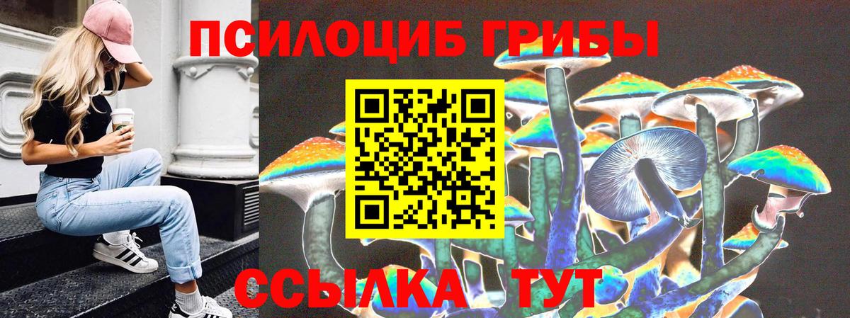 Псилоцибиновые грибы MAGIC MUSHROOMS  Вход с VPN  Электросталь  где можно купить   Галлюциногенные грибы ЛСД 